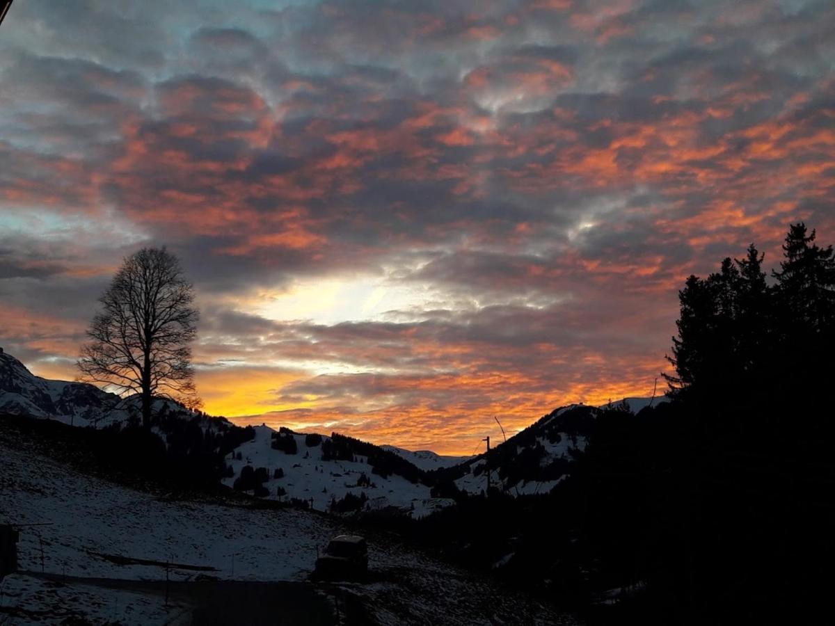 Bed and Breakfast Ferien In Der Bergwelt Von Adelboden Esterno foto